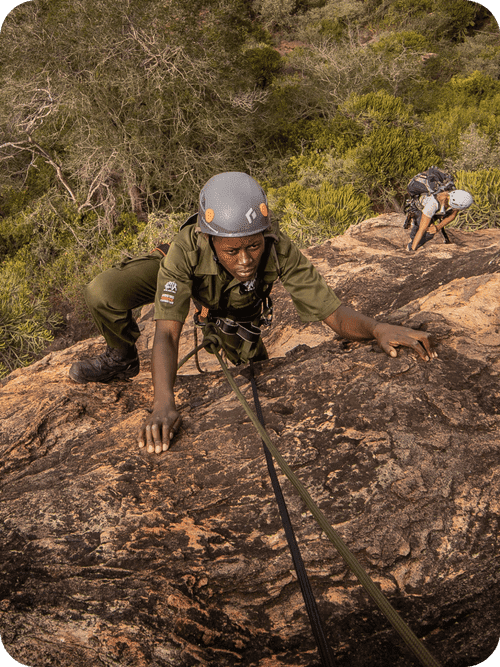 Rangers scaling a cliff