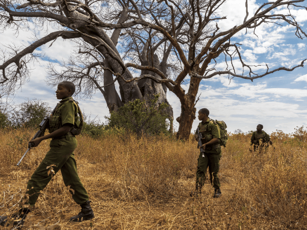 Impact Report 2021 - Our Akashinga Rangers are growing stronger than ever and have made record-breaking arrests