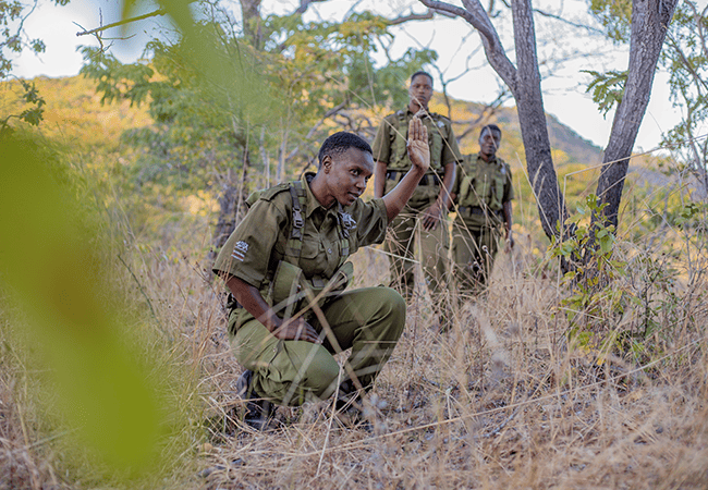 World Ranger Day 2022 - Stand in support of our brave and fearless rangers.